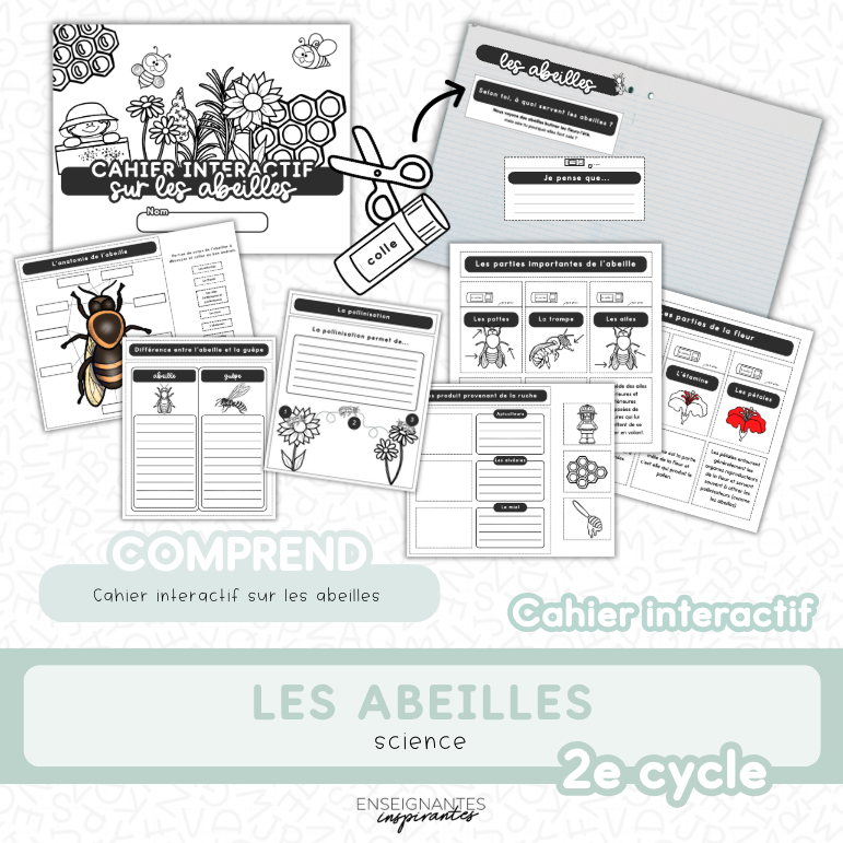 Cahier interactif (Les abeilles)