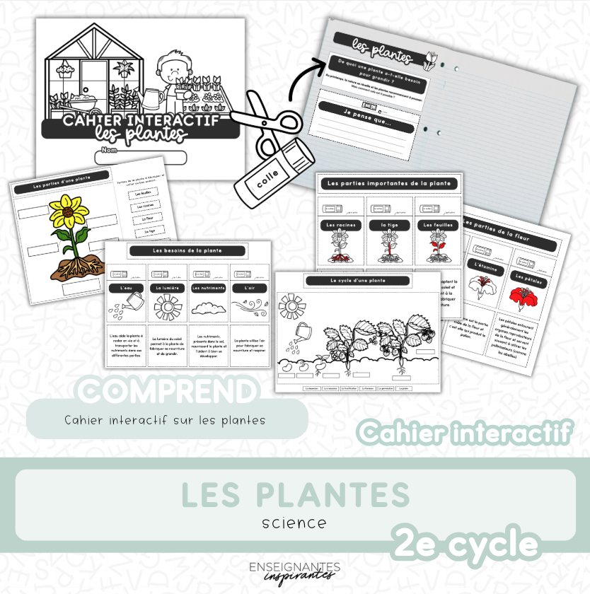 Cahier interactif (Les plantes)