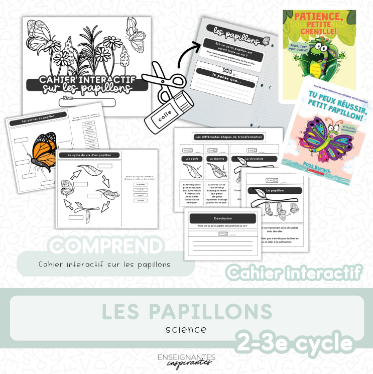 Cahier interactif (Les papillons)